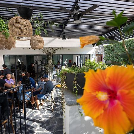 Tatala Hotel & Garden Tepoztlan Exterior photo